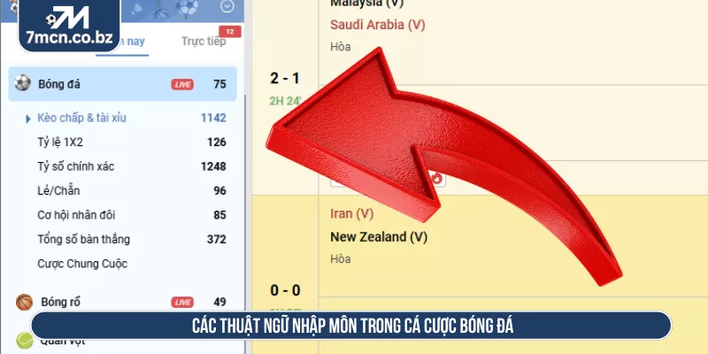 Tổng Hợp Thuật Ngữ Cá Cược Bóng Đá Phổ Biến Hay Dùng Tại 7M 1 Các thuật ngữ nhập môn trong cá cược bóng đá