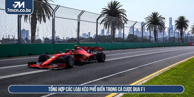 Cá Cược Đua F1 Là Gì? Cách Đặt Kèo F1 Chuẩn Từng Chặng 2 Tổng hợp các loại kèo phổ biến trong cá cược đua F1