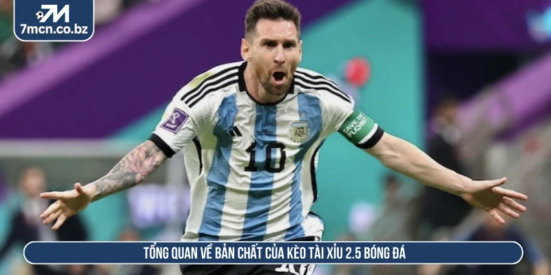 Tổng quan về bản chất của kèo tài xỉu 2.5 bóng đá